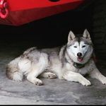 Jesse Brumbaugh - @ykwhoitiz4 - Instagram