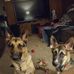 Jesse Budde - Facebook