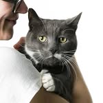 Jesse Buddy Schaller - @jessebuddycat - Instagram