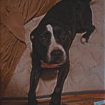 Jesse Bunnell - Facebook