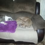 Jesse Burrell - @jesse.burrell.507 - Instagram