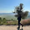 Jesse Camargo - @jesse.camargo3 - TikTok