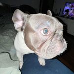 @jesse_catelu7 - Instagram