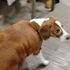 Jesse Cates - @jesse.cates8 - TikTok