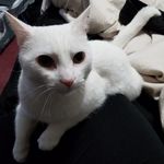 Jesse Catt - @jesse.catt.18 - Instagram