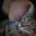Jesse Chapa - Facebook