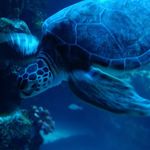 Jesse Nolyn Cloninger - @jescloninyahoocom - Instagram