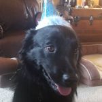 Jesse - @jesse_coe - Instagram