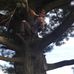 Jesse Coffman - Facebook