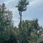 Jesse Comeau - @comeau_jesse - Instagram