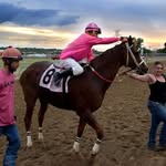 Jesse & Shelby Compton - @compton_thoroughbreds - Instagram