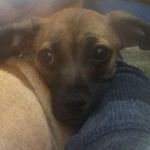 Jesse Conner - @jesse2936 - Instagram