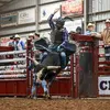 Connor Jessee - @connorjessee1 - TikTok
