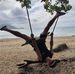Jesse Cotter - Facebook