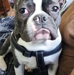 Jesse Coulter - Facebook