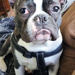 Jesse Coulter - @justjesse80 - Instagram