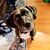 Jessie Covey931 - @jessiec816 - TikTok