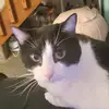 jesse.cox - @jesse.cox2024 - TikTok