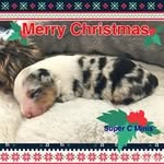 Cheryl Jesse Cramer - @cheryljessecramer - Instagram