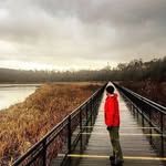 Jesse Cramer - @jessencramer - Instagram