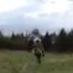 Jesse Cranford - @jesse_cranford21 - Instagram