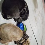 Jesse Cranford - @jessecranford340 - Instagram