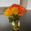 Jessie Creighton - @jessie.creighton - TikTok