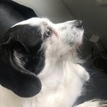 Jesse Crew - @jessecrew16 - Instagram