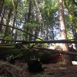 Jesse Crosswhite - @crosswhitejesse - Instagram