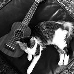 Jesse Cruce - @st.augmusic - Instagram