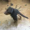 jesse_curley - @jesse_curley - TikTok