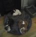 Jesse Currier - Facebook