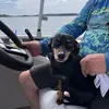 lisa - @jessecustermom - TikTok
