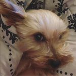 Jesse Daigle - @jesse.l.daigle - Instagram