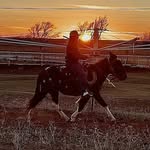 Jesse Darrow - @jesse_darrow - Instagram