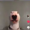 Jesse Deaton212 - @goodboy7u - TikTok