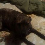 Jesse James Deaton - @jessedeaton63 - Instagram