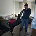 Jesse Dekker - @jesse.dekker.5 - Instagram