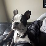 Jessie Demarco - @jessie_demarco - Instagram