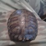 Jesse dempsey - @jessedempsey0919 - Instagram