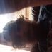 Jesse Dobbs - Facebook