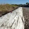 Jesse Dyson843 - @jdyson0509 - TikTok