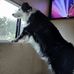 Jesse Eady - Facebook