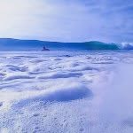 Jesse Engle - @jesseengle1 - Instagram