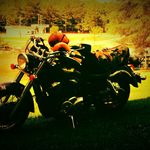 Jesse E Simmons Erwin - @jesse.erwin.58 - Instagram