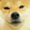 Jesse Esquivel - @jesseesquivel49 - TikTok