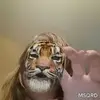 Jesse Fair - @jessefair - TikTok