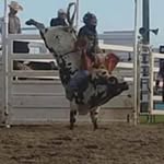 Jesse Fairfull - @jessefairfull - Instagram