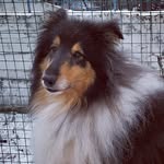JF - @_jesse_fair_ - Instagram
