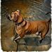 Jessie Faircloth - Facebook